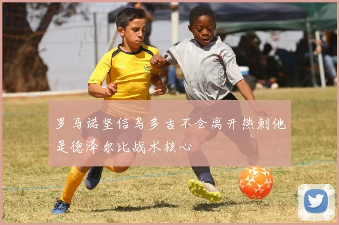 罗马诺坚信乌多吉不会离开热刺他是德泽尔比战术核心