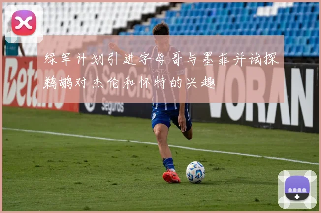 绿军计划引进字母哥与墨菲并试探鹈鹕对杰伦和怀特的兴趣